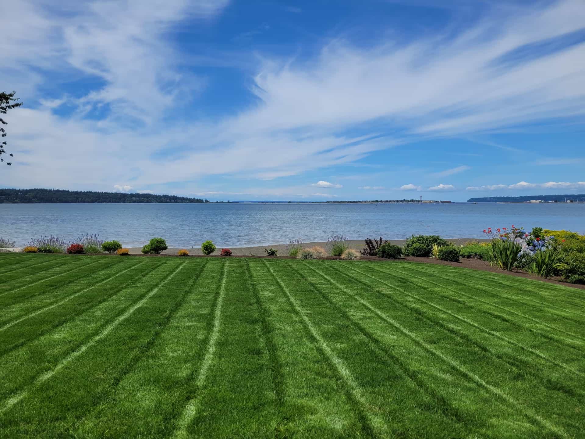 a freshly mown lawn