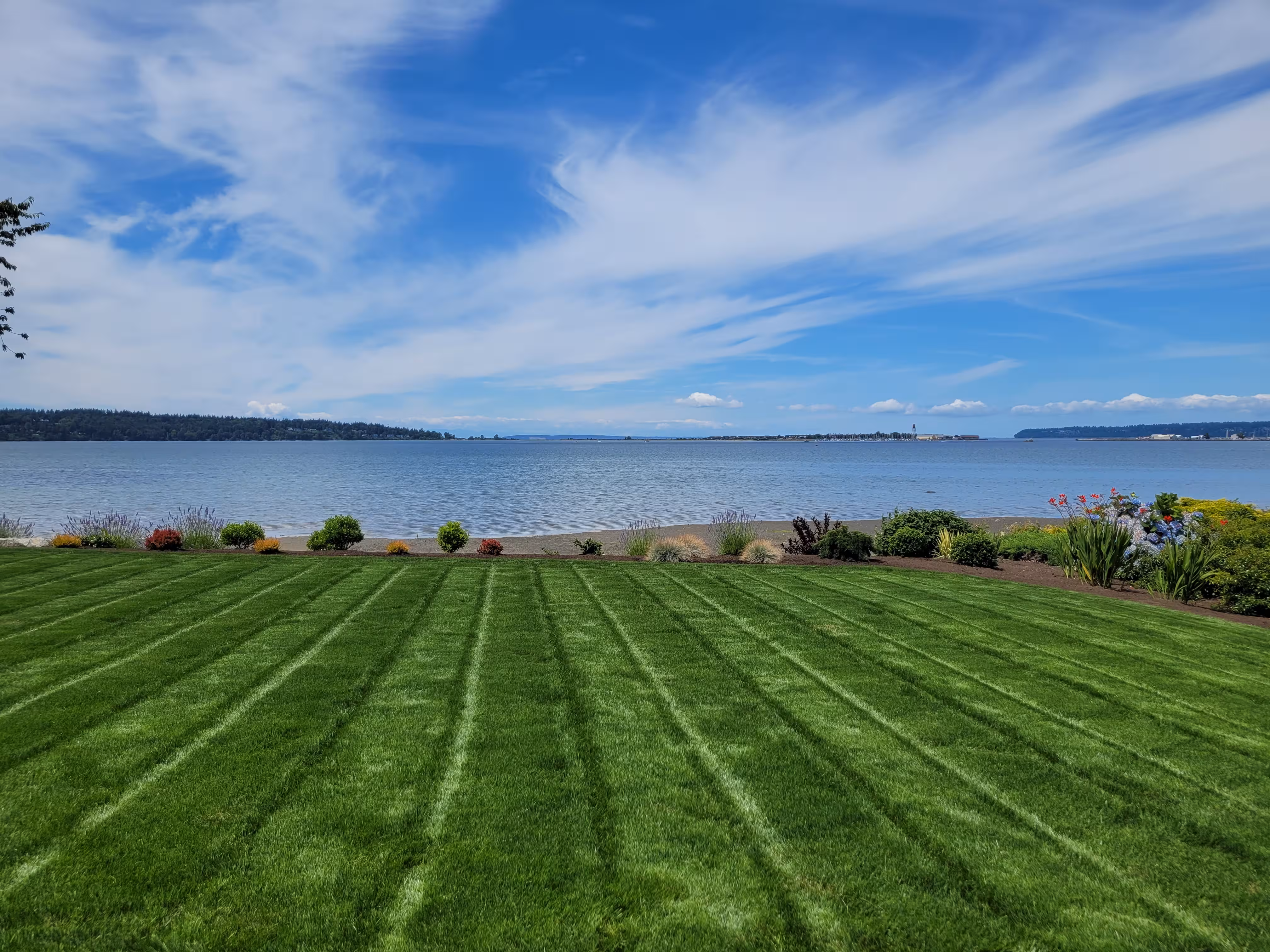 a freshly mown lawn