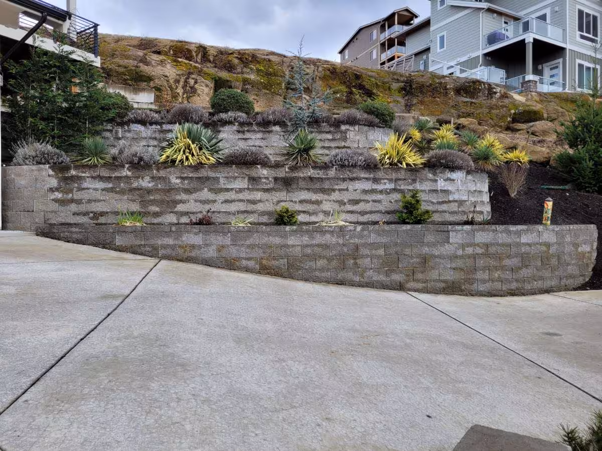 A landscaped yard with a stone pathway