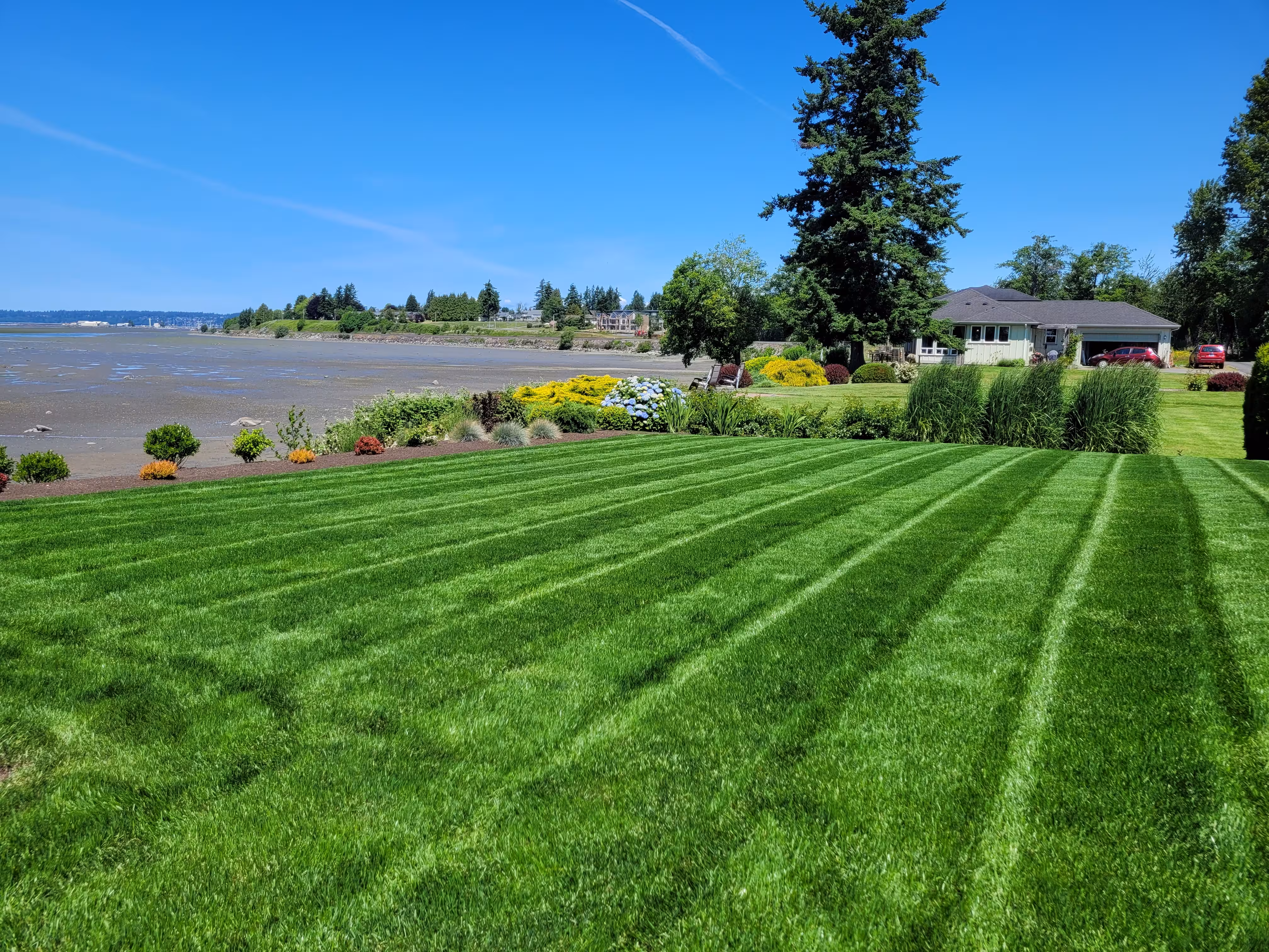 A freshly mowed lawn