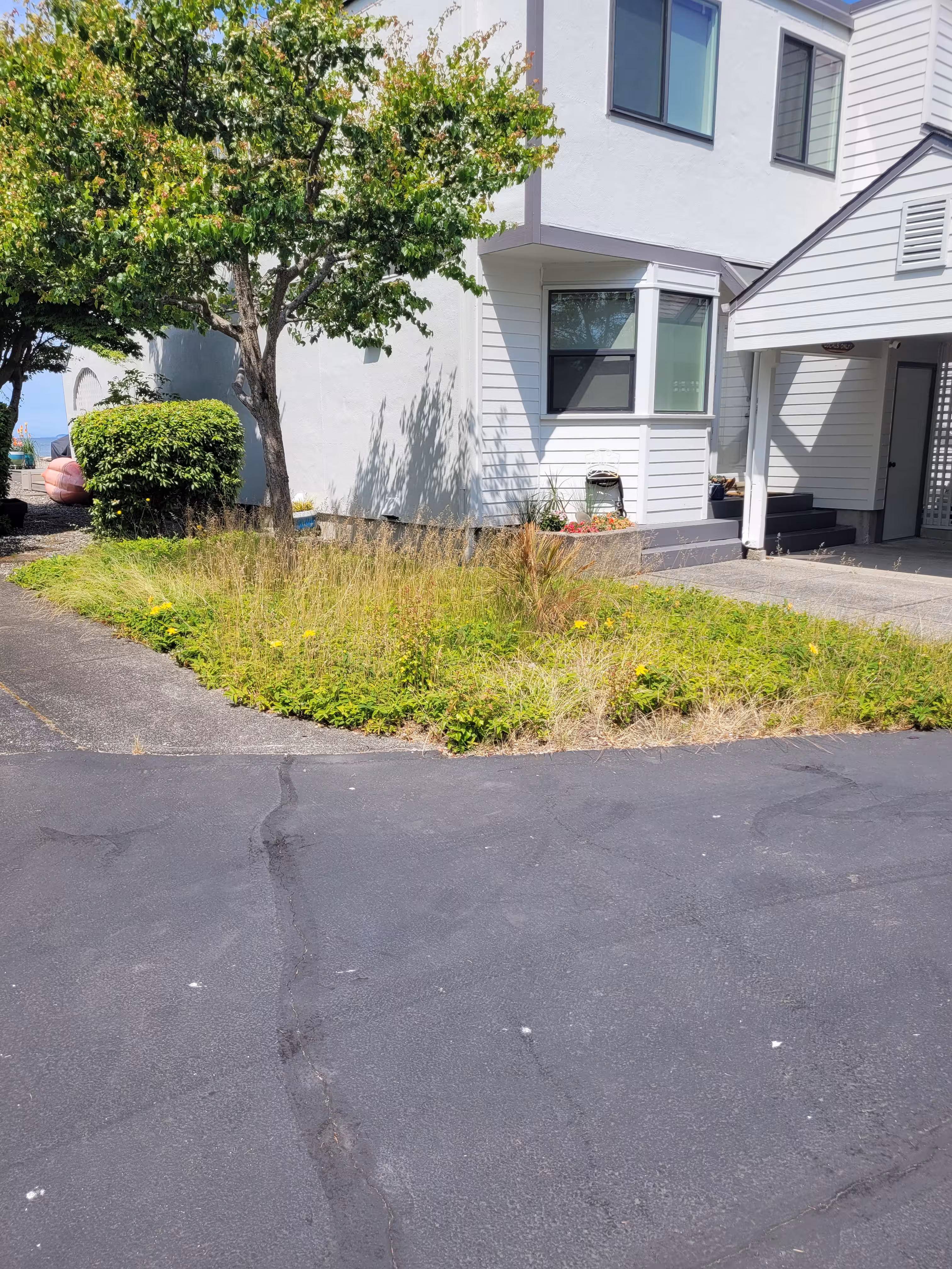 Before and after of a cleared field