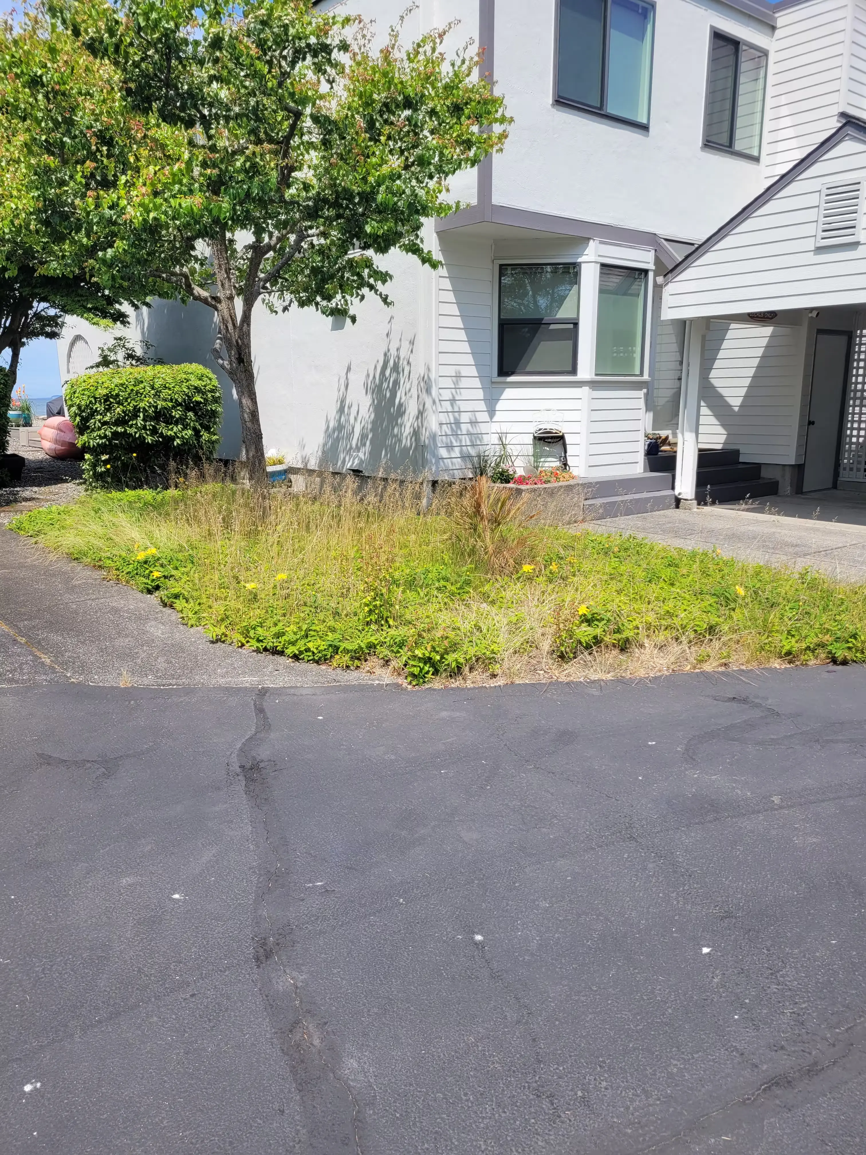 Before and after of a cleared field