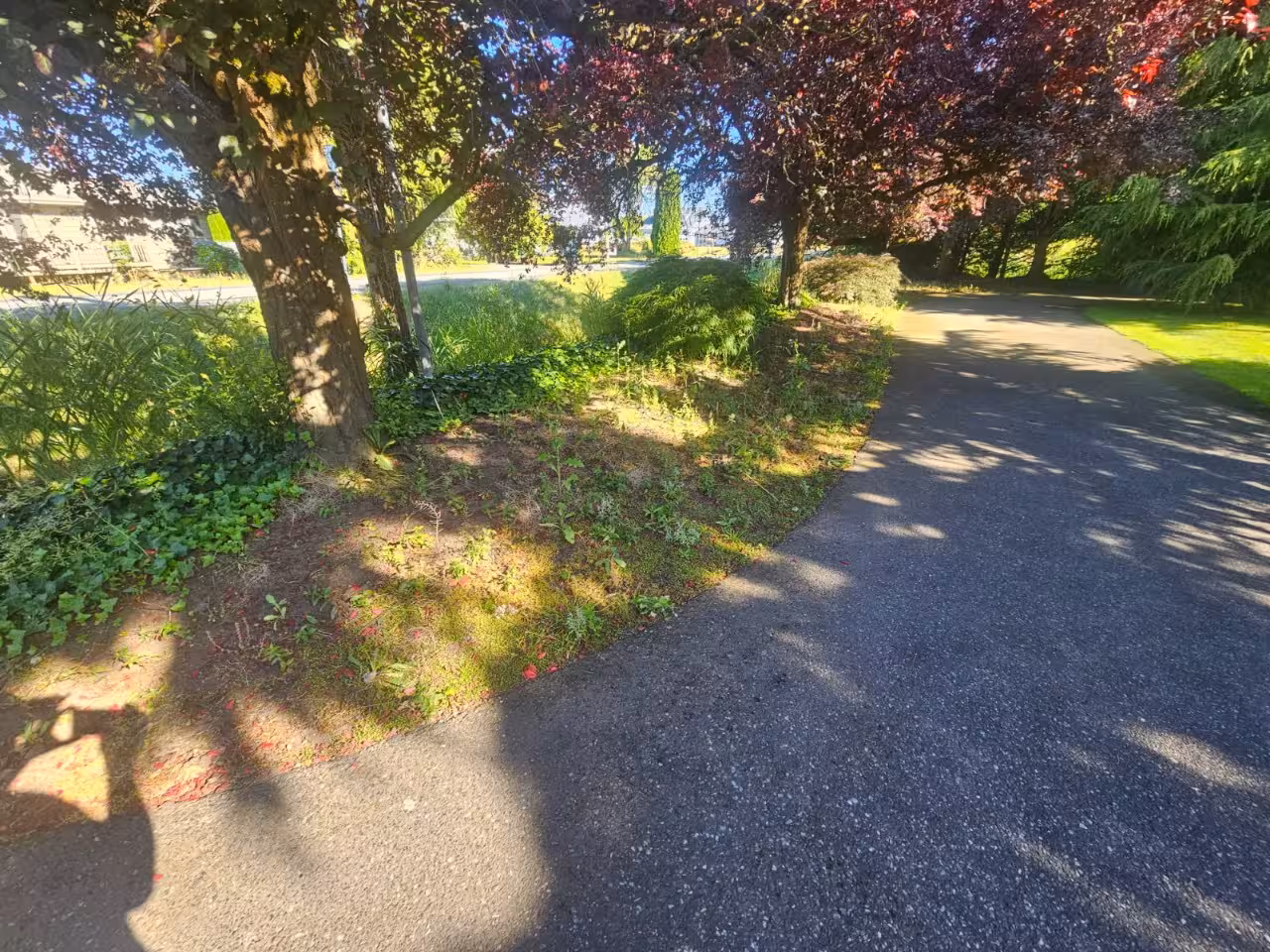 Before and after of a cleared field